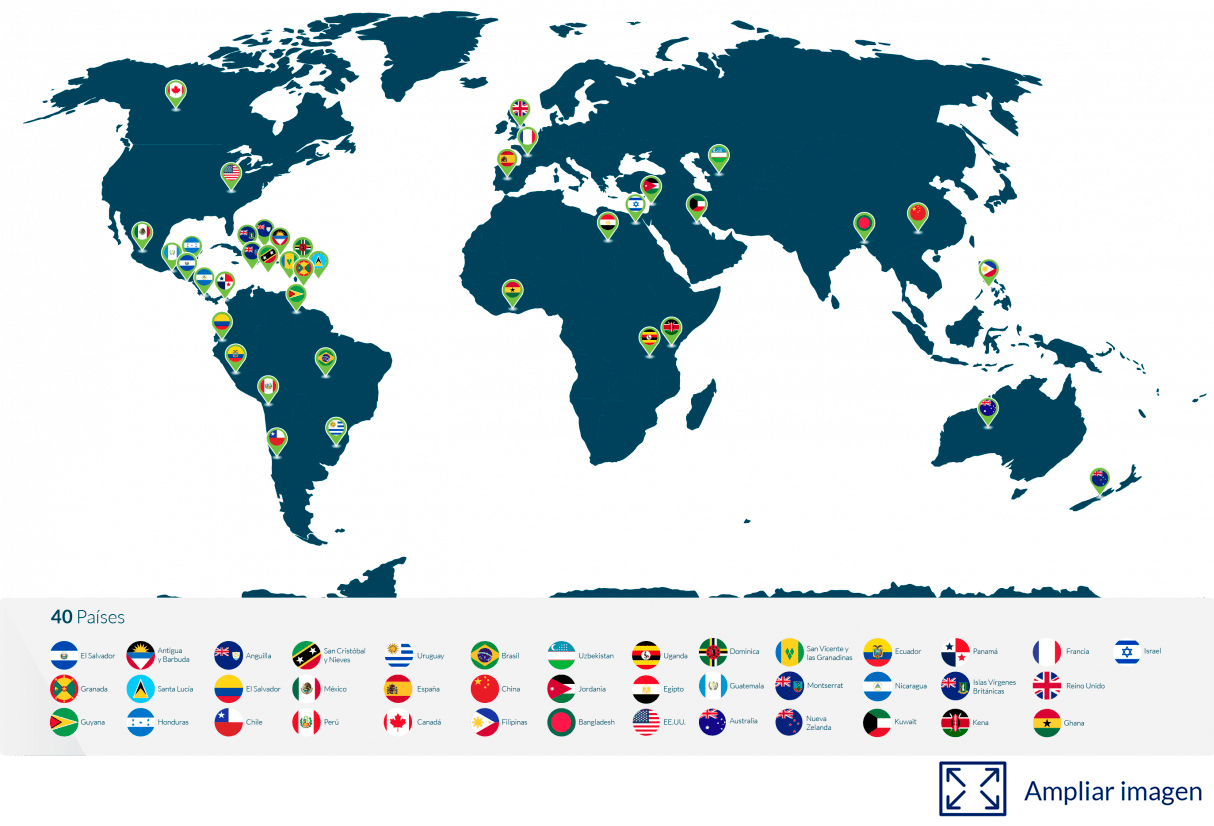 infografia-summa-home